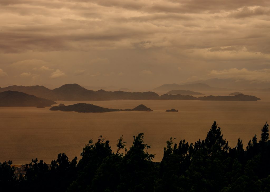 SPEEDO × BEAMS Collaboration Collection 2020