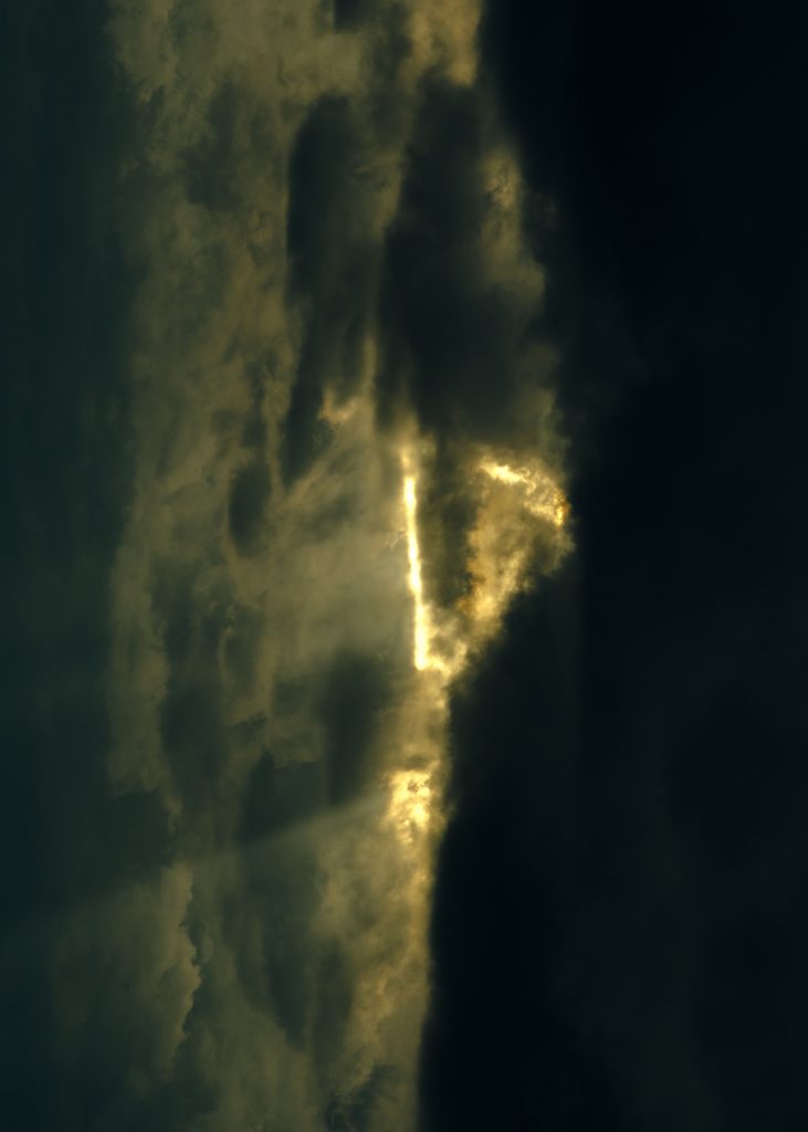 SPEEDO × BEAMS Collaboration Collection 2020