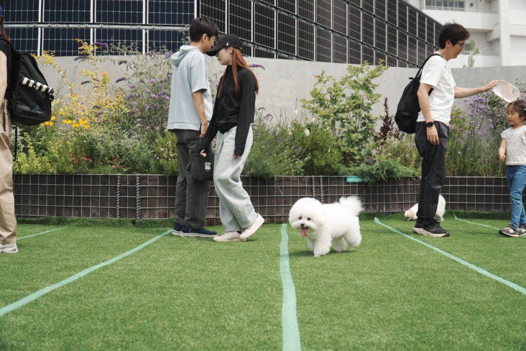 DOG LIFE PARK