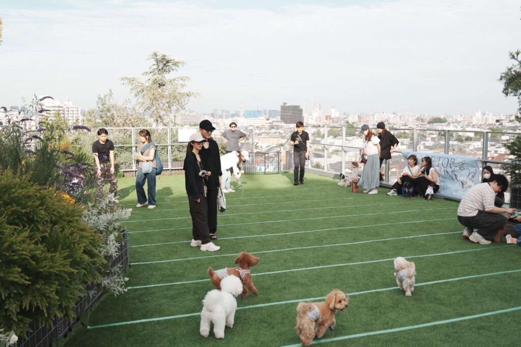 DOG LIFE PARK